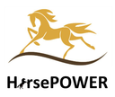 Perry County Juvenile Court HorsePOWER Program